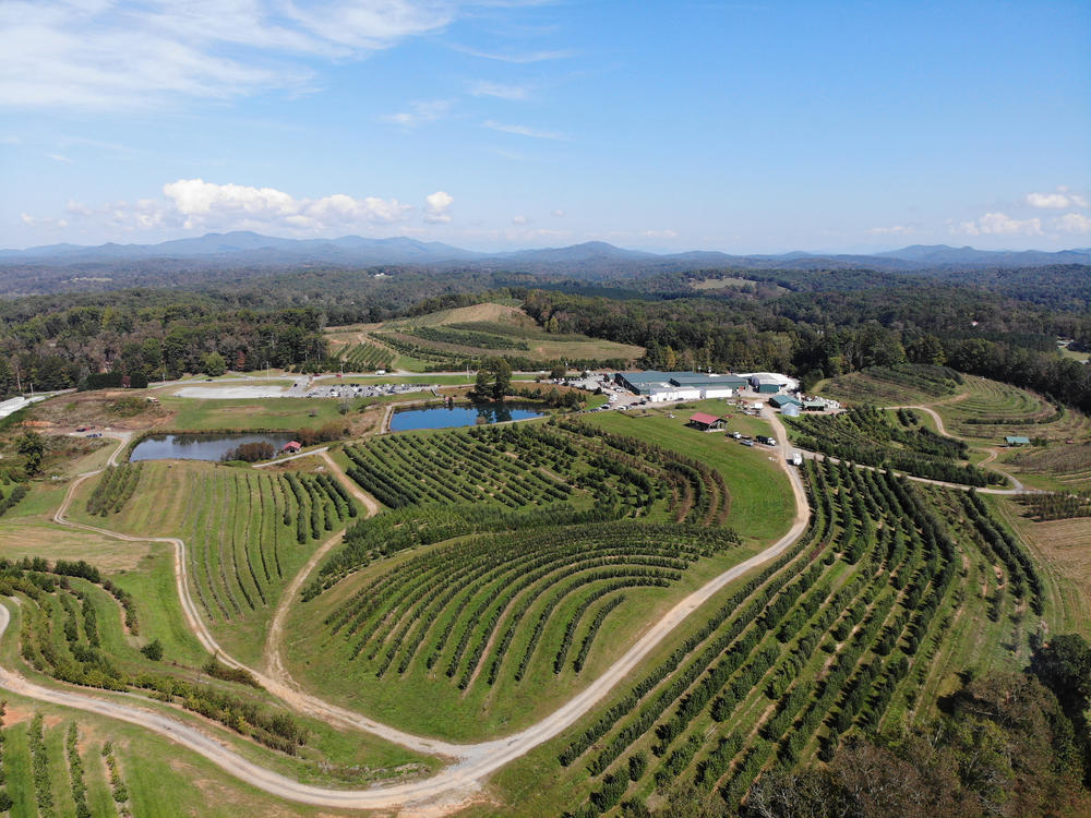 Ariel View of Mercier Orchards