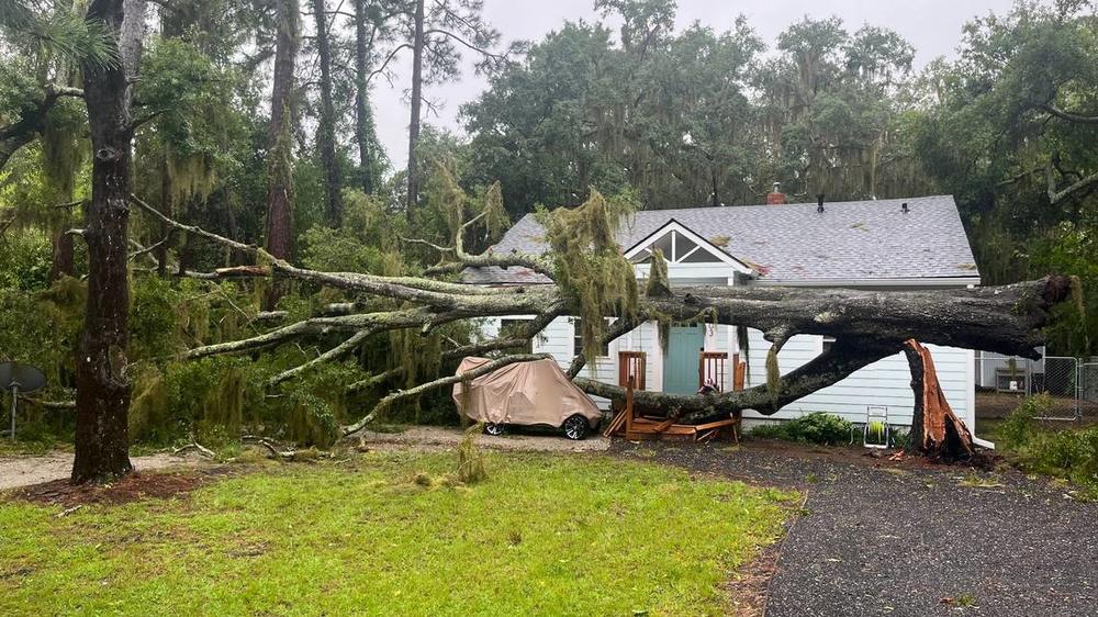 fallen tree on or near home