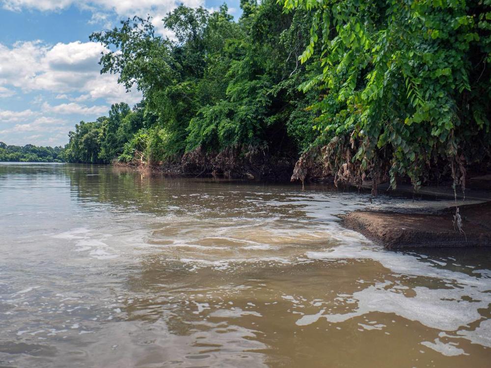 Water conditions on the Chattahoochee River near the outfall pipe for Phenix City, Alabama’s wastewater treatment plant 05/21/24 Courtesy of the Chattahoochee Riverkeeper  