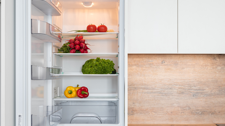 An open refrigerator door