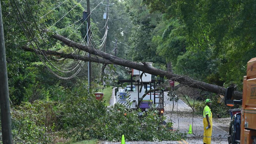 A fallen tree hangs on power lines on Wesleyan Drive after Hurricane Helene on Friday, Sept. 27, 2024, in Macon, Georgia. According to Georgia Power, over 1000 people in the Wesleyan Woods area are without power as of 3 p.m. on Friday. Katie Tucker/The Telegraph  