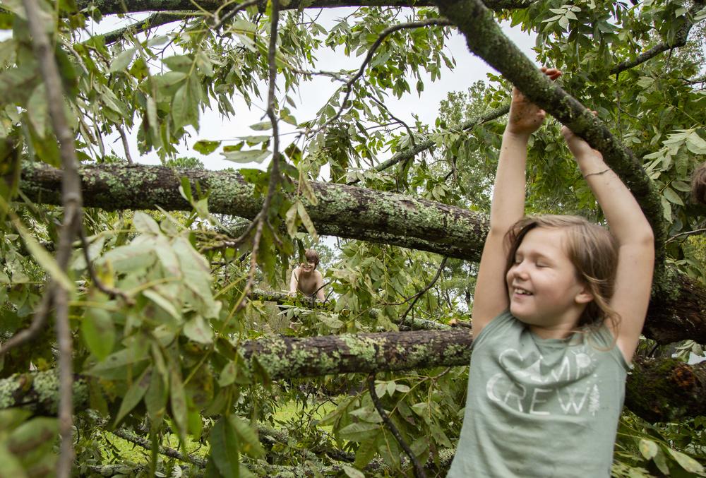 Aleah Martin, 8, right, and her cousin Riley Boyd, 12, play in the crown of a pecan tree blown down by Hurricane Helene in Aleah’s yard in Dublin, Ga.