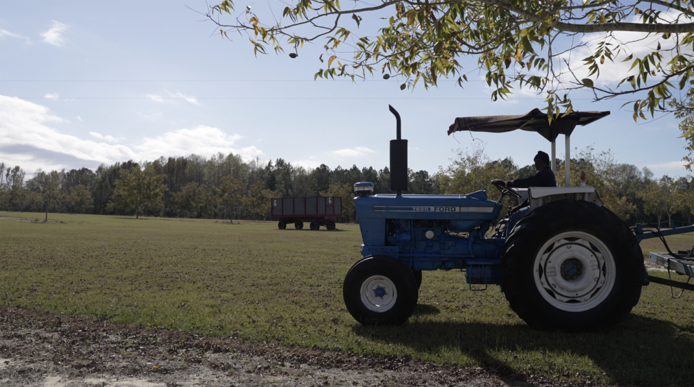 Curtis Collins on a tractor at EKC Farms