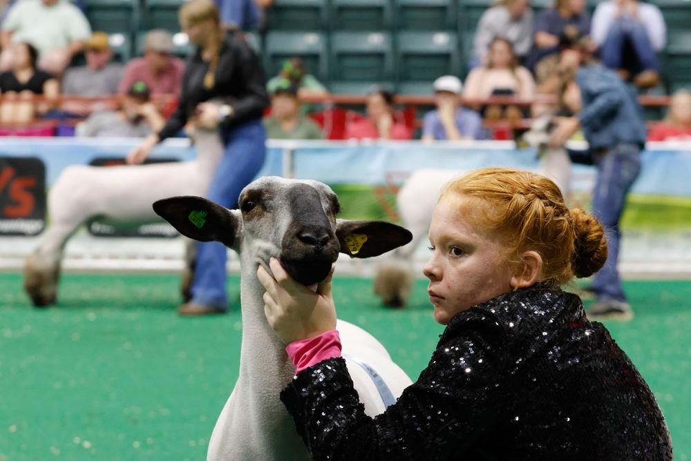 Abbie Snipes from Guyton, Georgia, and her sheep, Big Back Tyrone, wait during the judging of the 11th Grade Market Lamb Showmanship Competition at the Georgia National Fair in Perry, Georgia, on Saturday, Oct. 5, 2024. Snipes and her family, who had just regained power to their home after a week without it following Hurricane Helene, still decided to come compete anyway, hoping it would help bring a "sense of normalcy." (Photo/Forest X. Dynes)