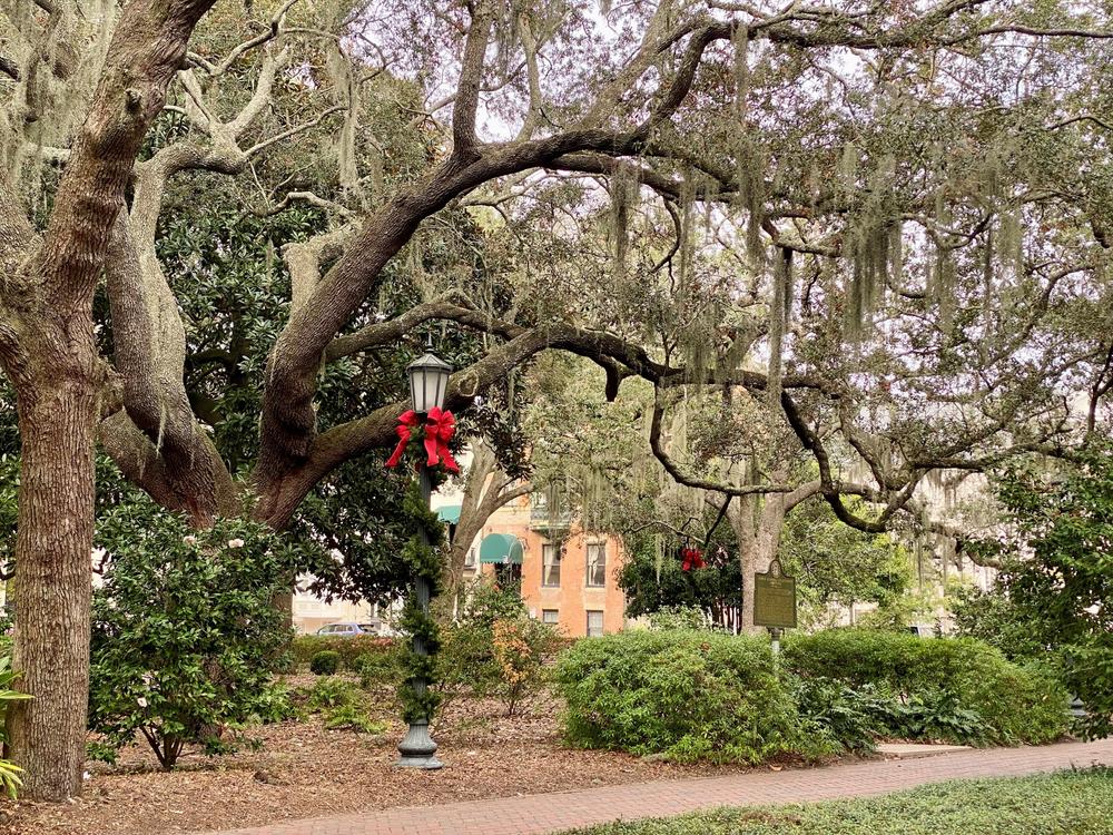 Chippewa Square in downtown Savannah during December.