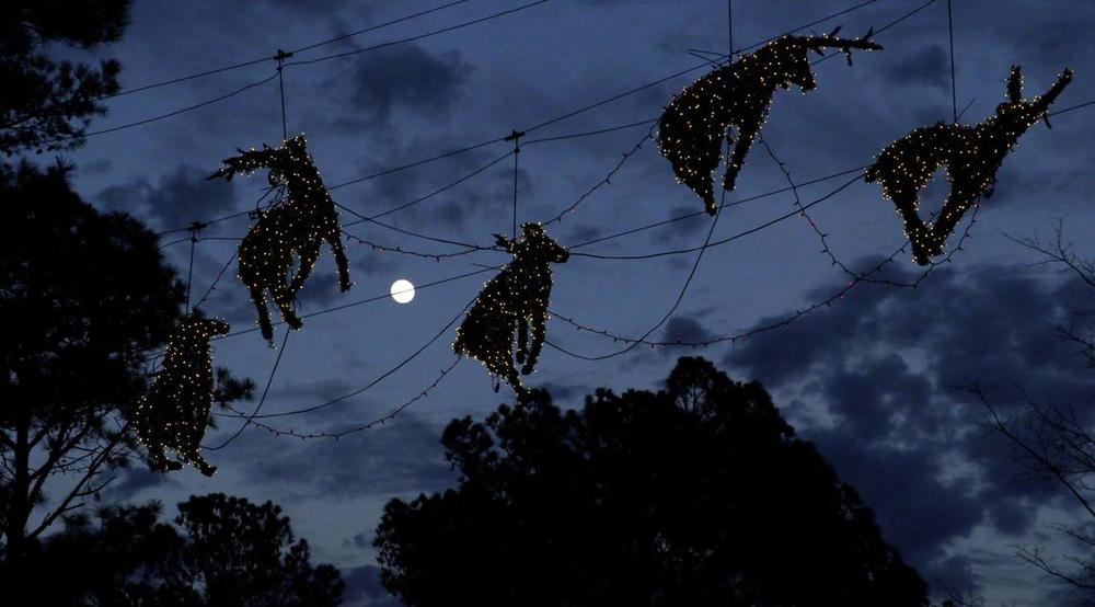 Foster Lambertus has created a large display of Christmas lights, known as Foster’s House of Christmas, in Midland, Georgia. The display is synchronized to music and includes the reindeers that once hung in front of the Carmike building in downtown Columbus. 12/13/2024 Mike Haskey mhaskey@ledger-enquirer.com  