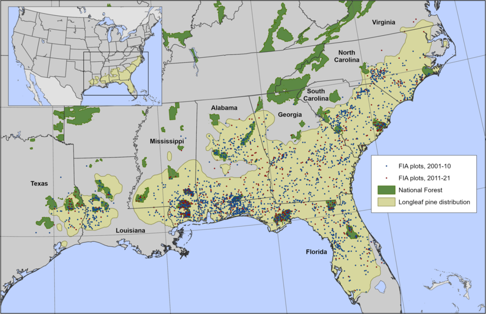 The longleaf pine range examined in the study is shown in beige.