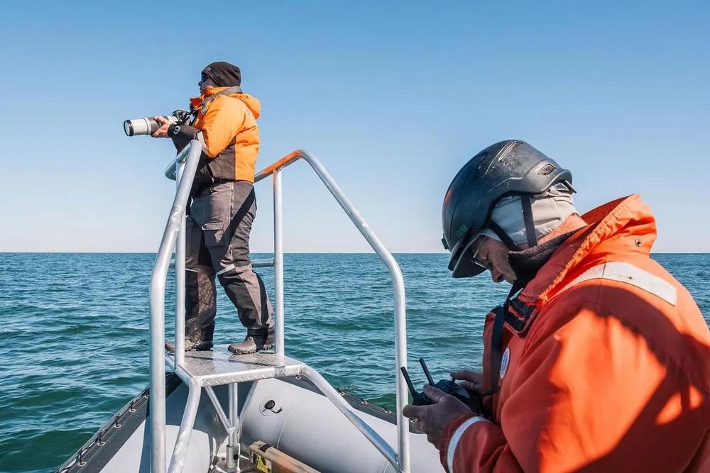 Senior Wildlife Biologist Jessica Thompson and Wildlife Technician Trip Kolkmeyer try use to photography and a drone to help identify an endangered North Atlantic right whale near St. Marys on Jan. 26, 2025.