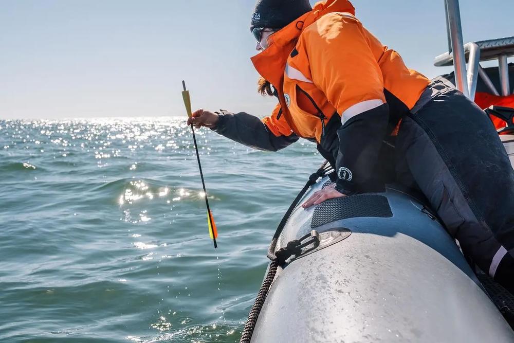 Senior Wildlife Biologist Jessica Thompson retrives a skin and blubber sample from a juvenile endangered North Atlantic right whale near St. Marys, Jan. 26, 2025. The samples are sent to a lab for DNA testing to determine the whale’s identity, health, sex, and genealogy.  Credit: Justin Taylor/The Current GA