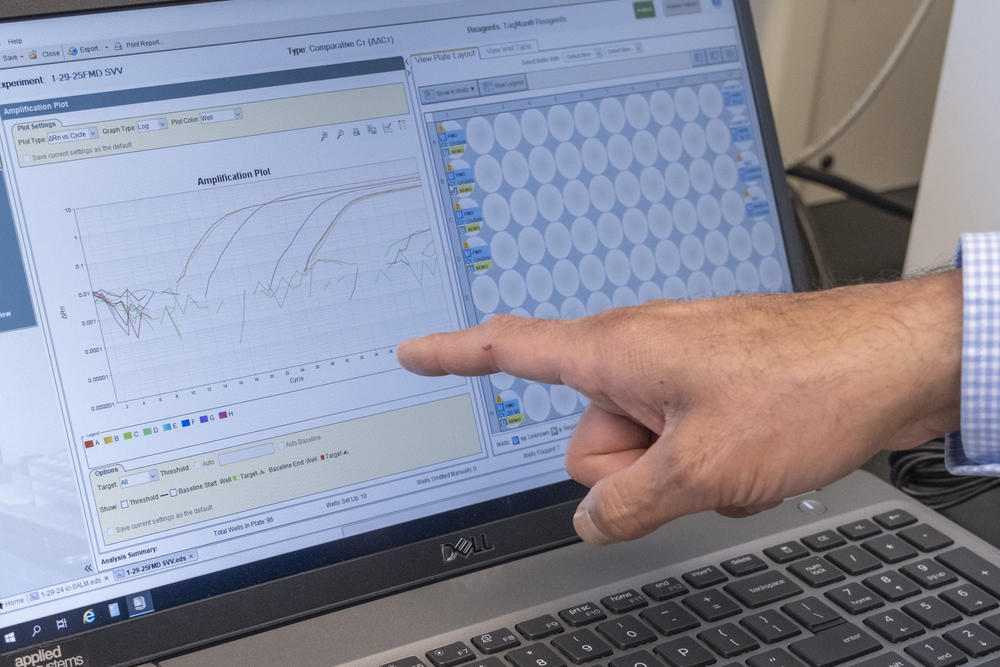 Binu Velayudhan, director of the Athens Veterinary Diagnostic Lab, says lab techs look for curves to indicate a non-negative sample. Pictured here is a sample for a foot and mouth disease common in pigs, but these same machines test samples for avian influenza.