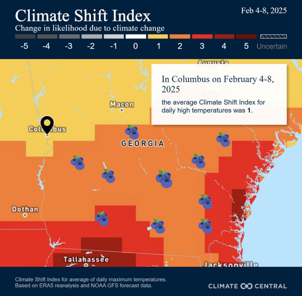 The CSI uses a “multi-method” approach to quantify the likelihood that weather on a particular day was in fact attributed to climate change. Areas marked yellow on the map indicate locations where climate change has a detectable impact on daily temperatures. Much of where climate change-attributed weather was occurring last week is where blueberries are grown. Kala Hunter Climate Central