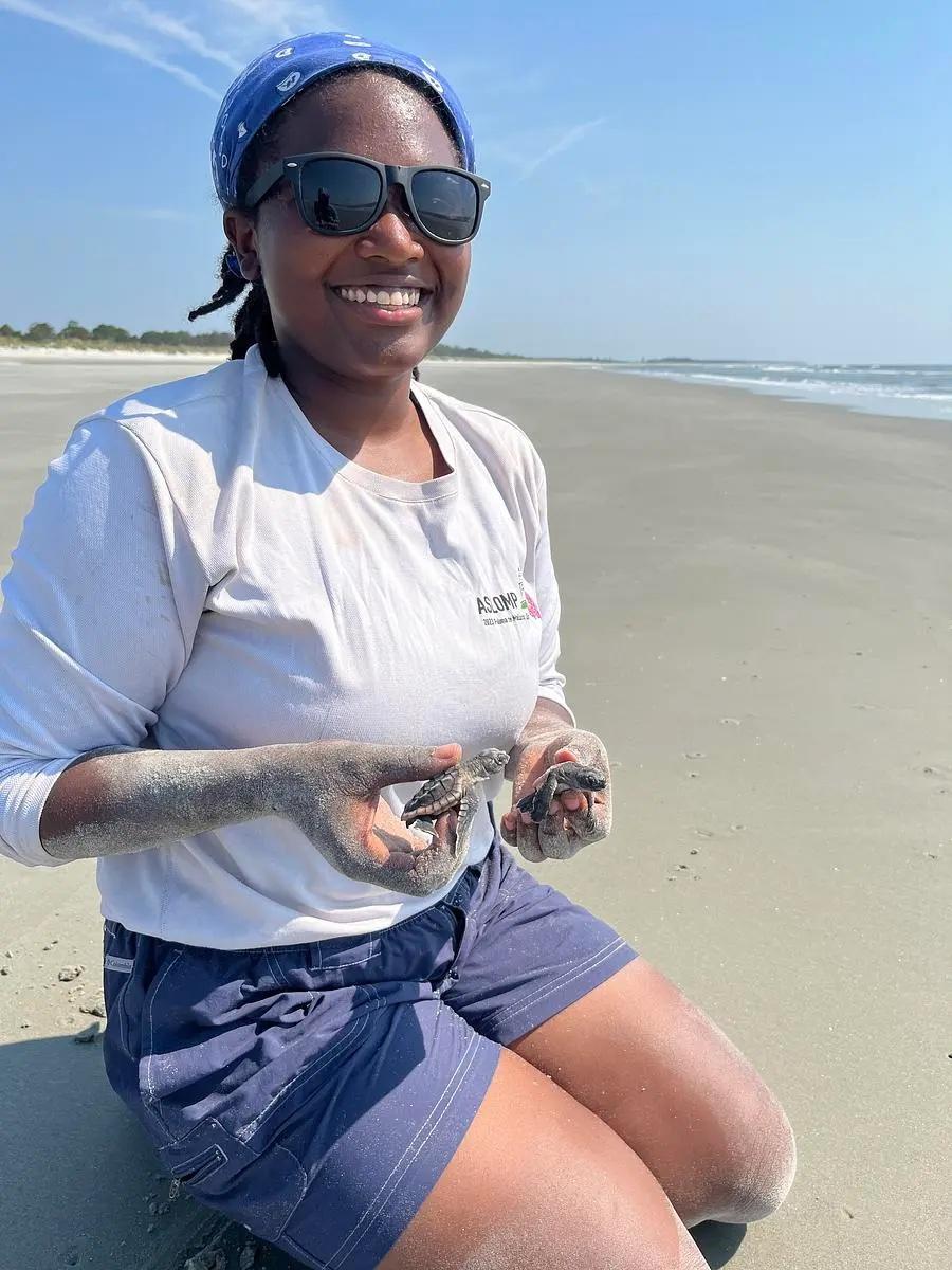 DNR's Joyce Sanks releases loggerhead hatchlings. Credit: Mark Dodd/DNR