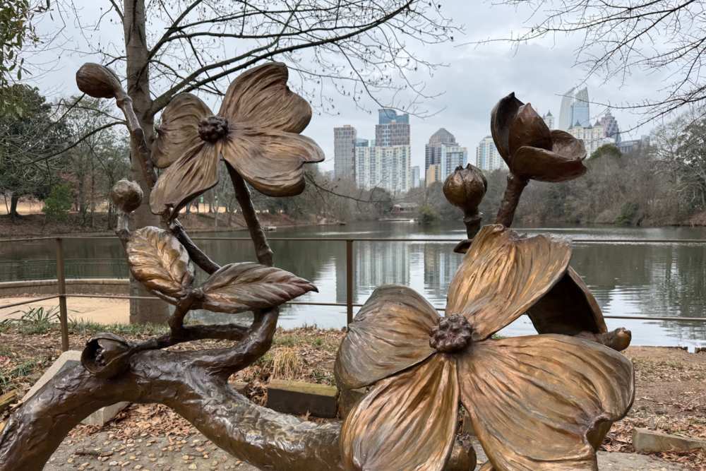 Wide shot of Piedmont Park in Atlanta, Ga.