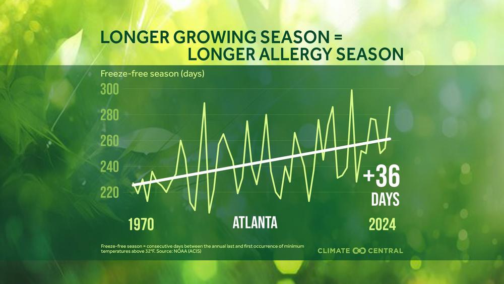 Chart showing growth of allergy season in Atlanta since 1970