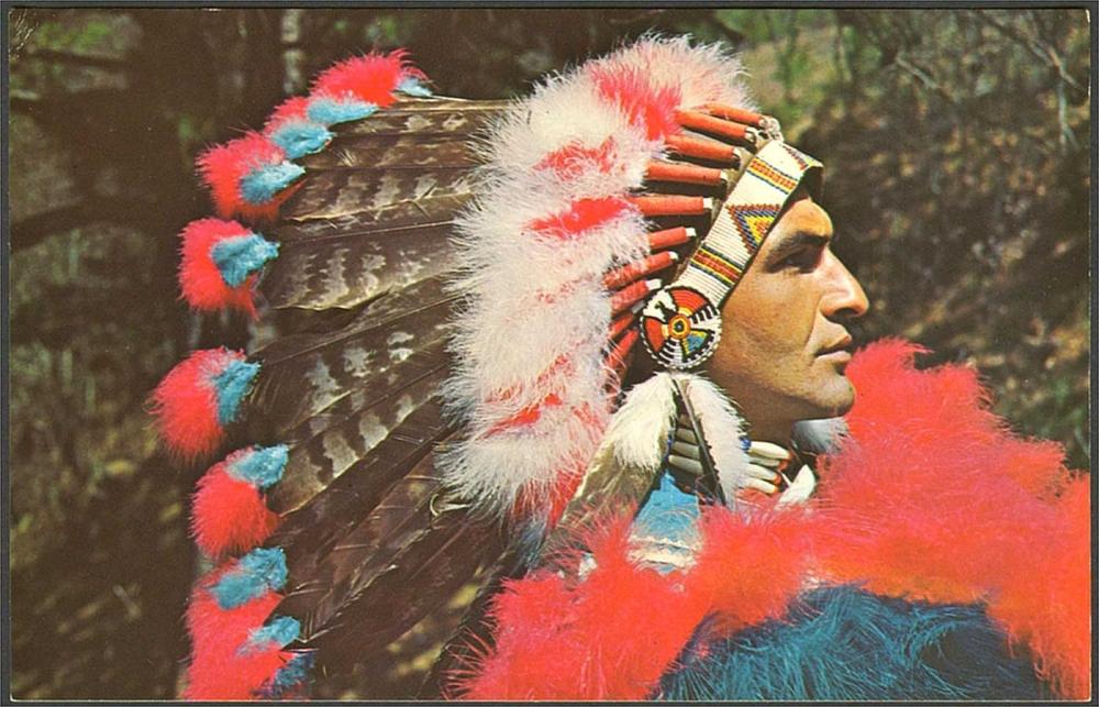 Cherokee native deals american images