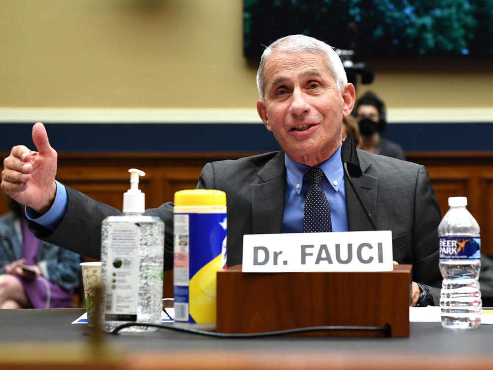 Dr. Anthony Fauci, director of the National Institute of Allergy and Infectious Diseases, testifies Tuesday during a House Energy and Commerce Committee hearing on the Trump administration's response to the COVID-19 pandemic.