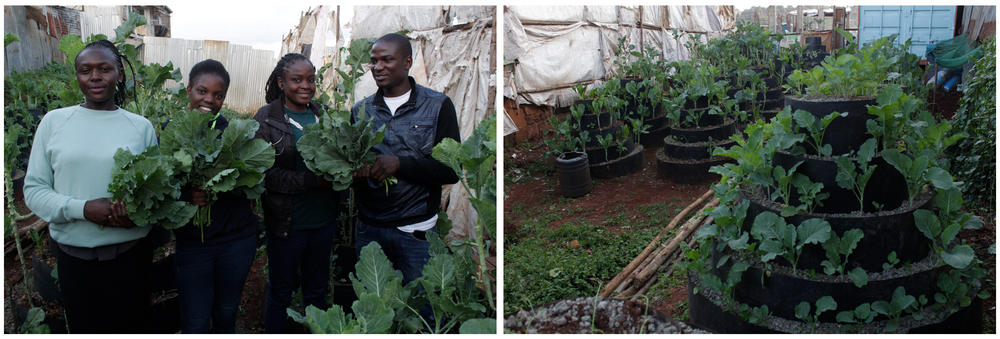Left: Urban farmer Victor Edalia (in white shirt) with three beneficiaries of his free veggies (left to right): Sheila Musimbi, a single mom; Celine Oinga, who comes from a family of 9 siblings; and Jackline Oyamo, jobless due to the pandemic. Right: Edalia uses modern urban farming methods, including this spiral planter that holds up to 100 seedlings.