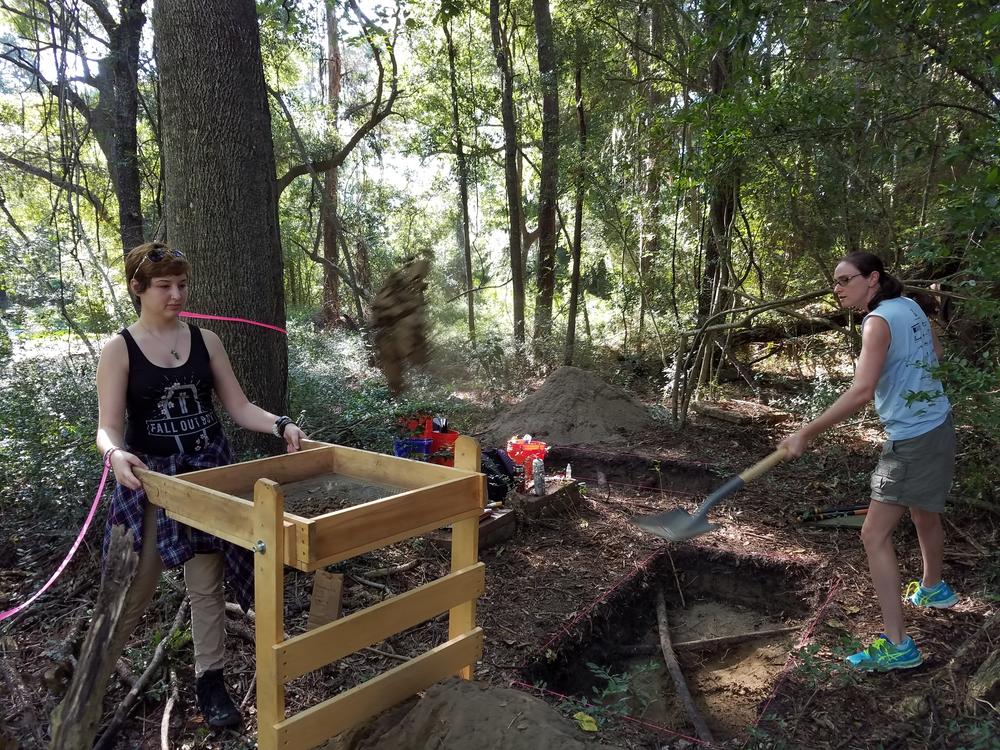 Armstrong student Kaylee Maricle catches a shovelful of dirt thrown by Professor Laura Seifert on the site of a former monastery and school on Skidaway Island.