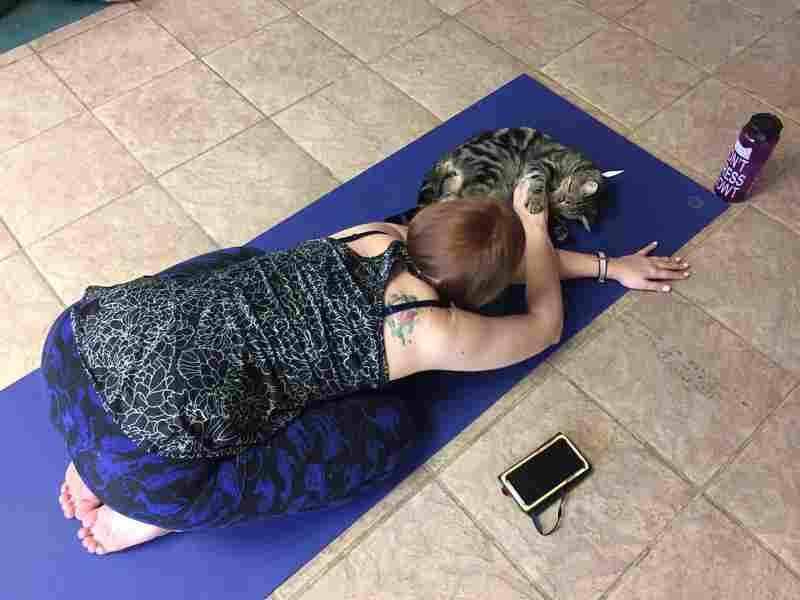 Marliese Thomas at the Birmingham Humane Society's first ever cat yoga class. Would you take an exercise class with your pet?