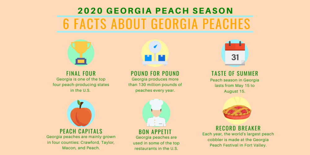 Peach growers are expecting a big harvest for the 2020 season. 