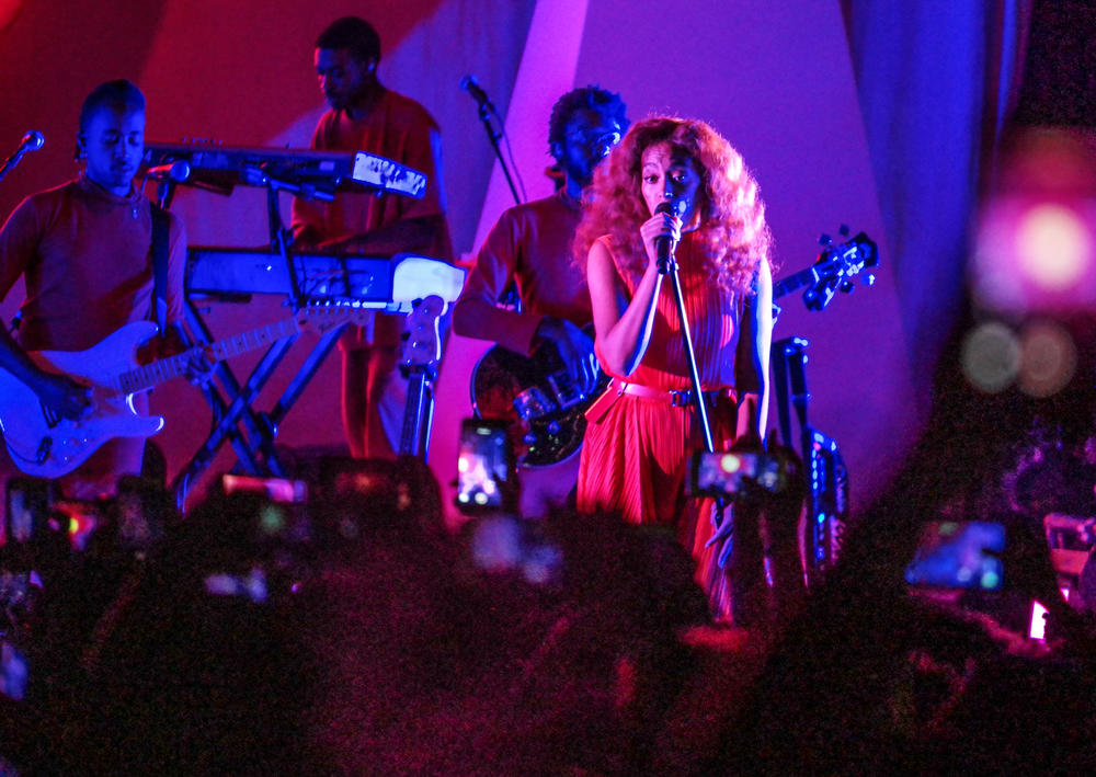 Singer and songwriter Solange Knowles