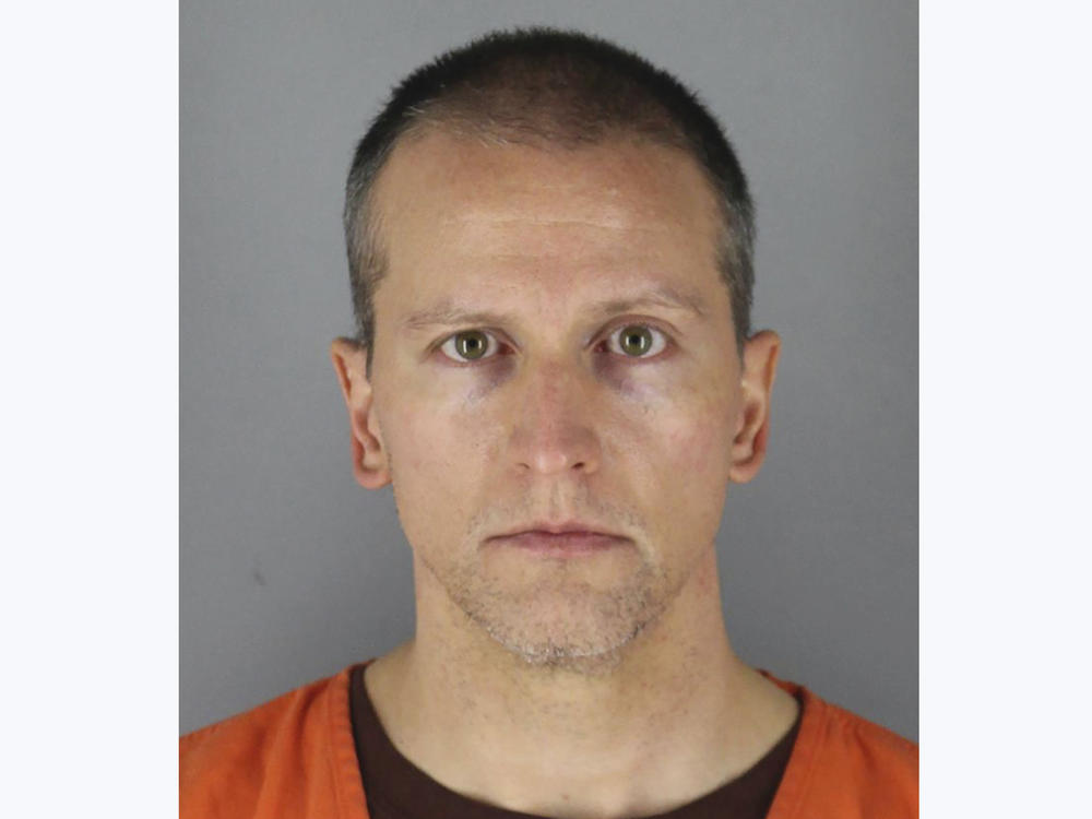 Former Minneapolis police Officer Derek Chauvin was arrested on May 29 in connection with the death of George Floyd.