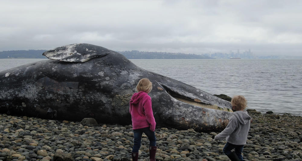 In a scene from the upcoming quar-horror movie Isolation, two children confront the body of a dead whale discovered on a beach.