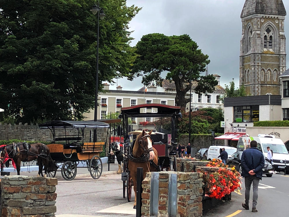 Idle horse-drawn carts in Killarney, Ireland.