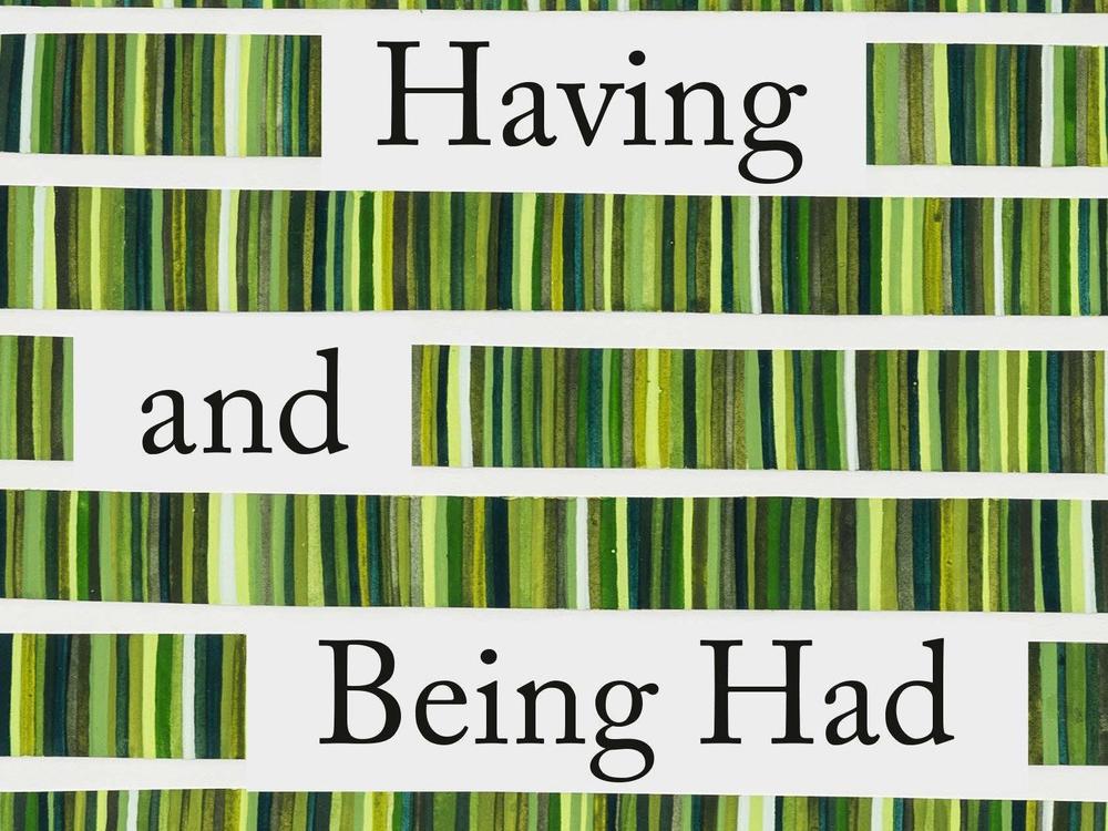 <em>Having and Being Had,</em> by Eula Biss