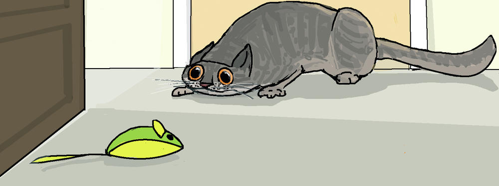 Comic artist Allie Brosh's cat. 