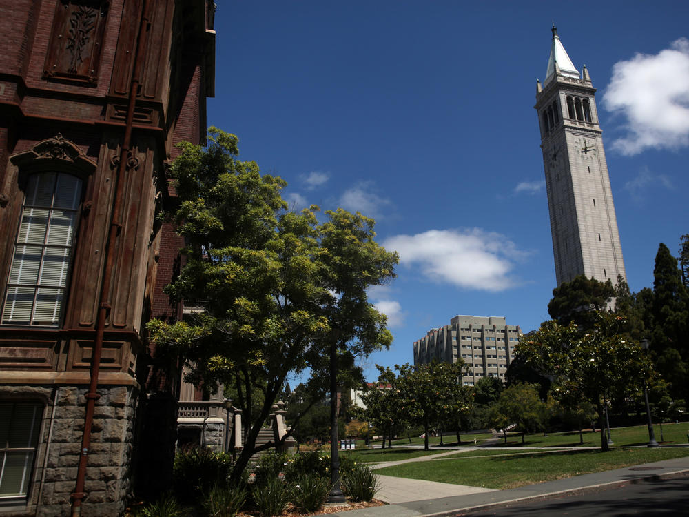 Home | Nuñez Lab | Berkeley