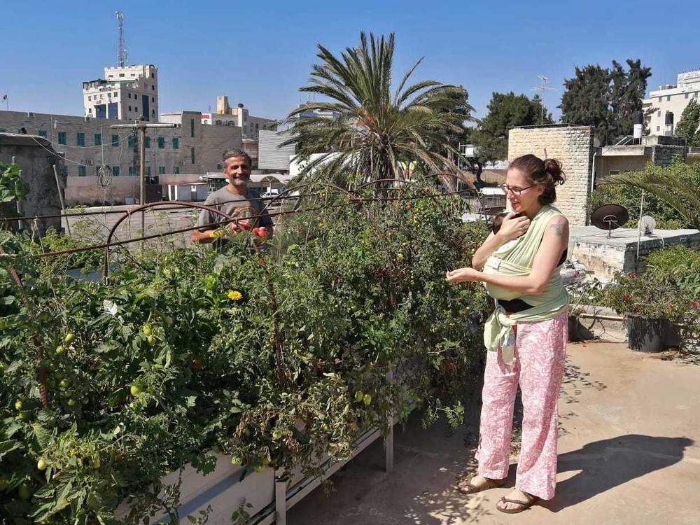 Morgan Cooper holds Lourice a week after she was born, as she and her husband Saleh Totah (left) tend to the rooftop organic garden of their cafe in the West Bank city of Ramallah.