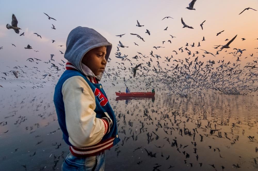 A boy is immersed in his own thoughts as thousands of seagulls scatter across the Yamuna River in Delhi, India.