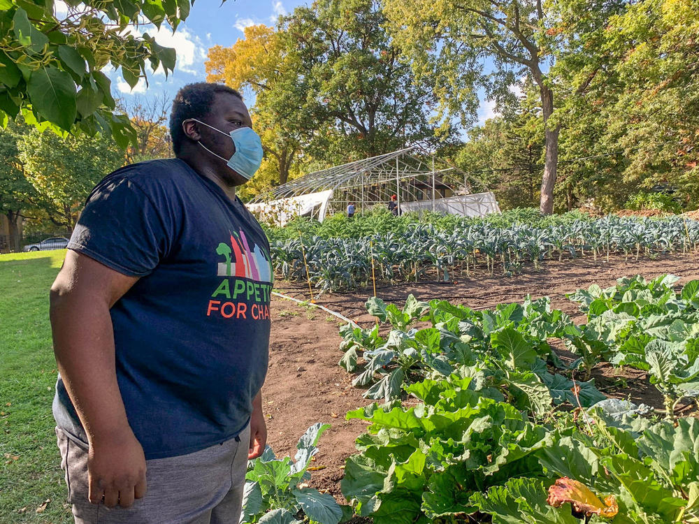 Carl Childs works after school with Appetite for Change, helping provide produce to families who can't easily access it. 