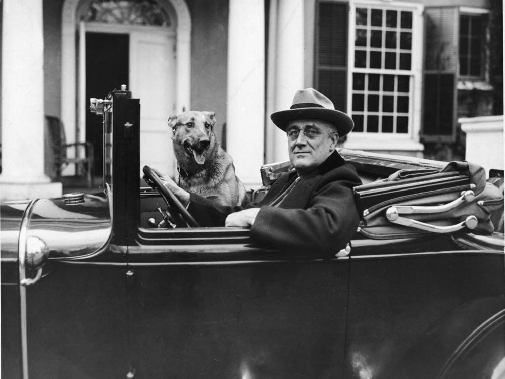 Portrait of American President Franklin Delano Roosevelt (1882 - 1945) sitting behind the wheel of his car outside his home in Hyde Park, New York in the mid 1930s.