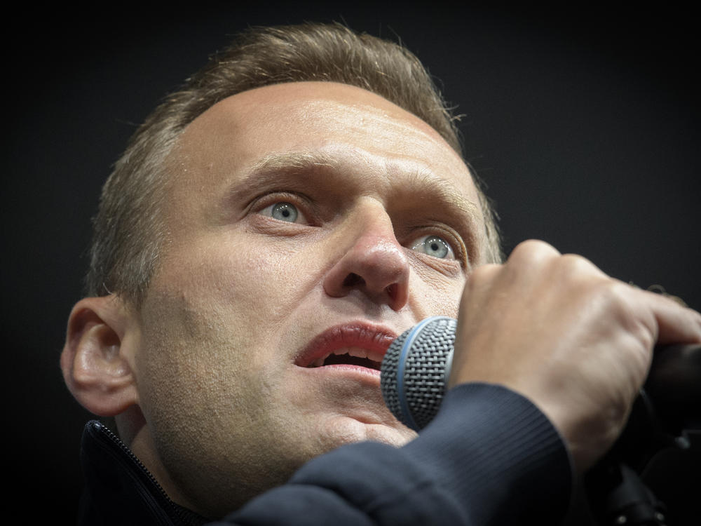 A joint investigation by Bellingcat and other media outlets found evidence that Russian opposition leader Alexei Navalny was trailed by Russian spy agents for years before he was poisoned in August.
