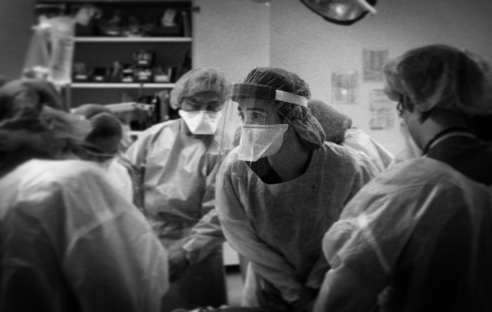 Dr. Molly Grassini watches the cardiac monitor during a pulse check, looking for signs of life in her patient.