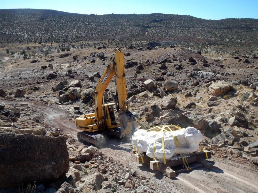 A track hoe pulls the 9-ton megablock containing hundreds of bones of Utahraptor and other dinosaurs from the Stike's Quarry in eastern Utah in 2014.