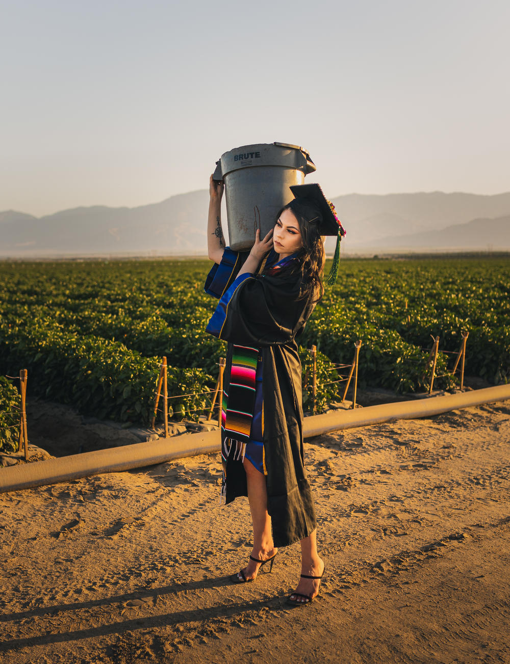 Rocha began working in the fields in Coachella, Calif., when she was a junior in high school. She continued the exhausting work through college.