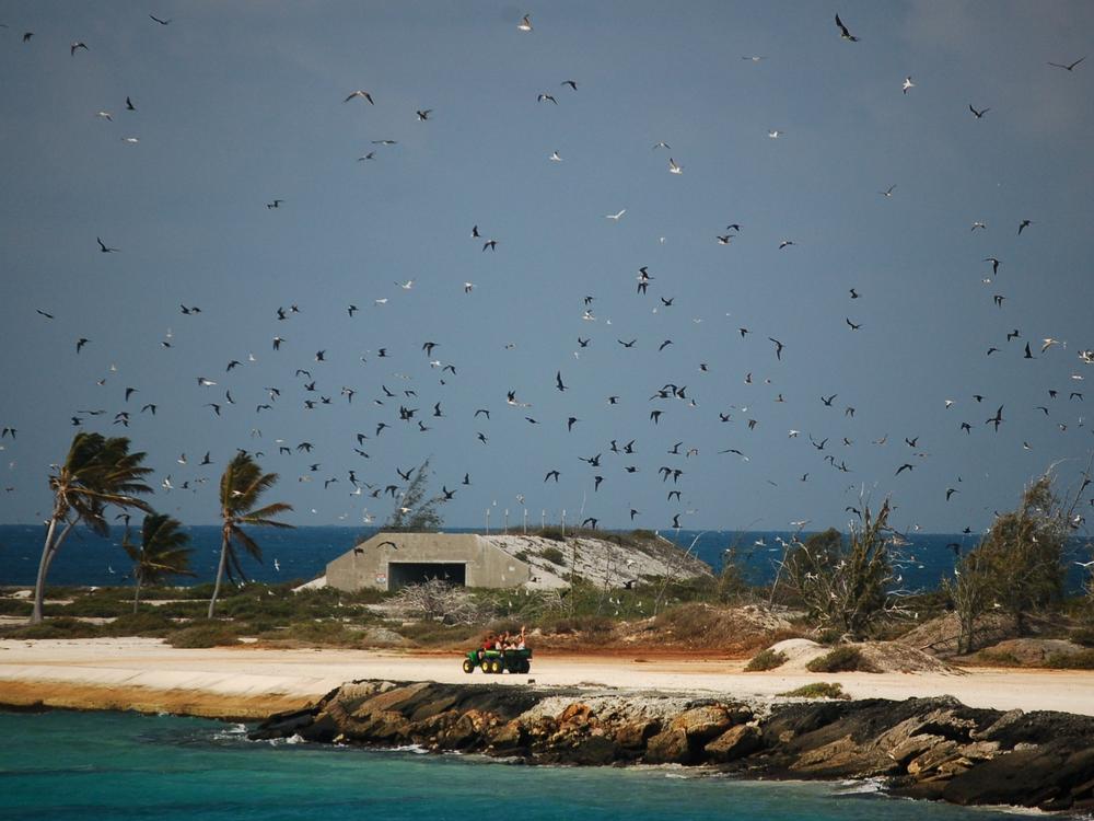 Hundreds of frigate birds and boobies fly over a Crazy Ant Strike Team crew of volunteers at Johnston Atoll NWR.