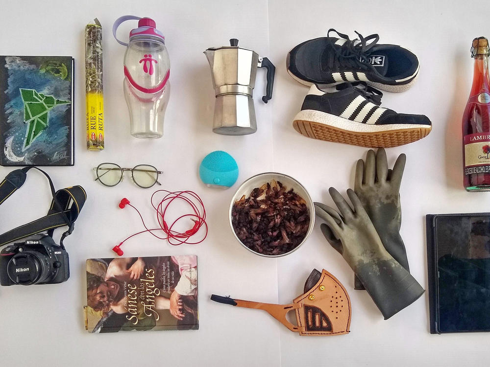 Top row, left to right: Notebook, incense, water bottle, coffee maker, sneakers, wine. Bottom row, left to right: camera, glasses, book, headphones, facial cleansing device, edible ants in a bowl, mask, gloves, tablet.