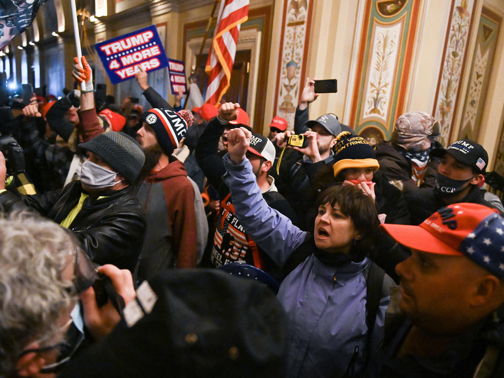Trump supporters breach security and storm inside the U.S. Capitol on Jan. 6. The woman in blue with her fist raised was later identified as Suzanne Ianni.