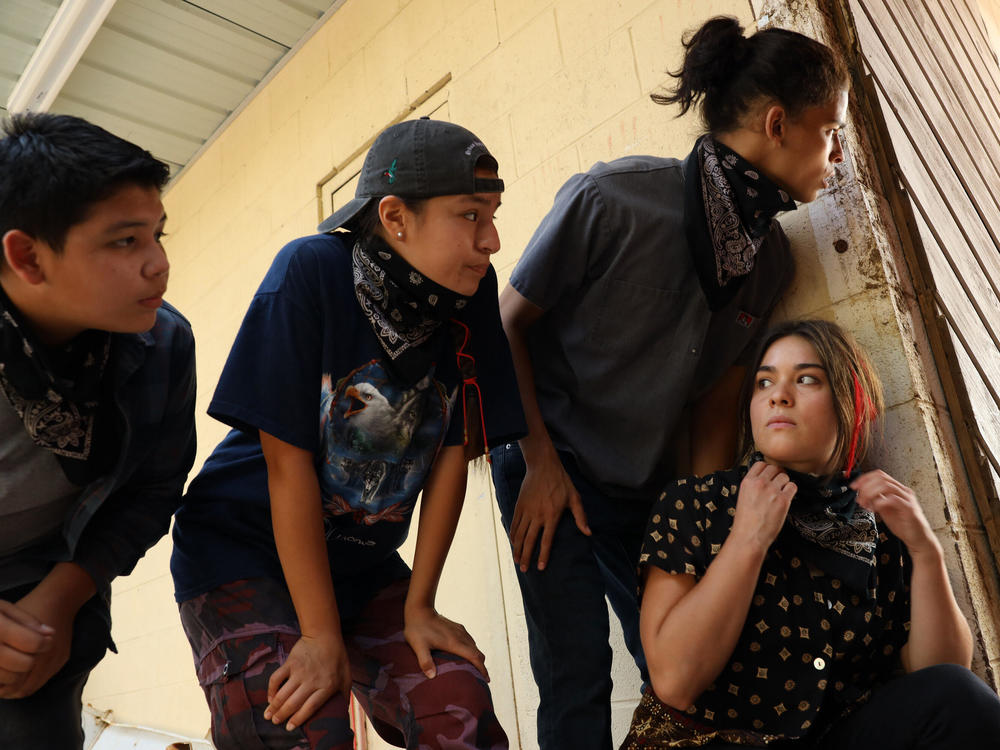 In the new show <em>Reservation</em> <em>Dogs, </em>four Native teens commit crimes to fund their efforts to leave their home in rural Oklahoma.