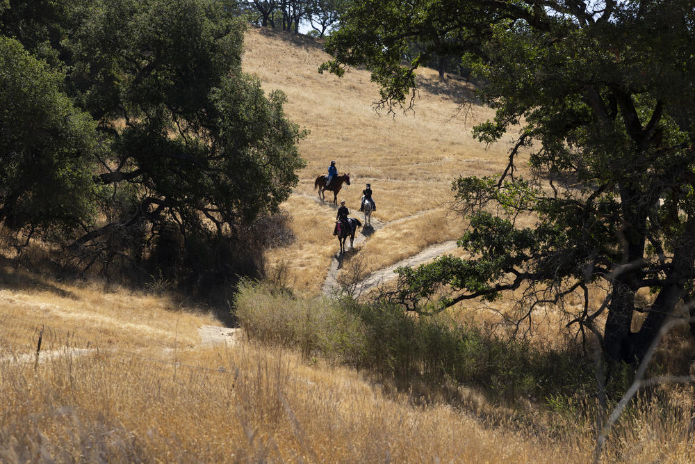 Campers take a trail ride around the ranch.