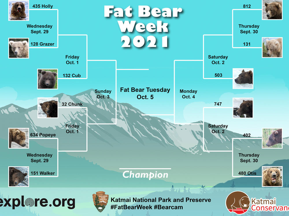 The official Fat Bear Week 2021 bracket. The competition is styled as single-elimination, similar to the NCAA's March Madness.