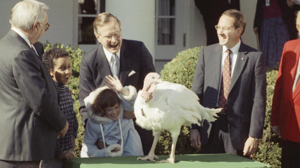 President George Bush and Shannon Duffy, 8, of Fairfax, Va., look over a Thanksgiving turkey presented to the president at the White House in Washington by the National Turkey Foundation, on Nov. 18, 1989.