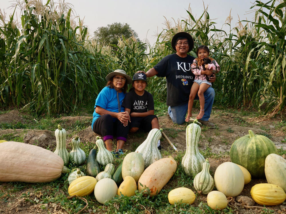 Native tribes have responded to the pandemic with creative ways to stay connected. Veronica Concho and Raymond Concho Jr. grew traditional Pueblo foods and Navajo crops with their grandchildren Kaleb and Kateri Allison-Burbank in Waterflow, N.M.
