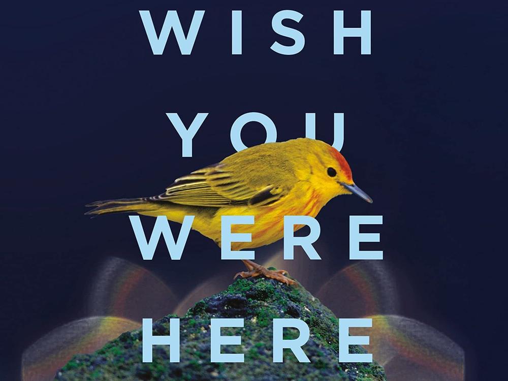 <em>Wish You Were Here,</em> by Jodi Picoult