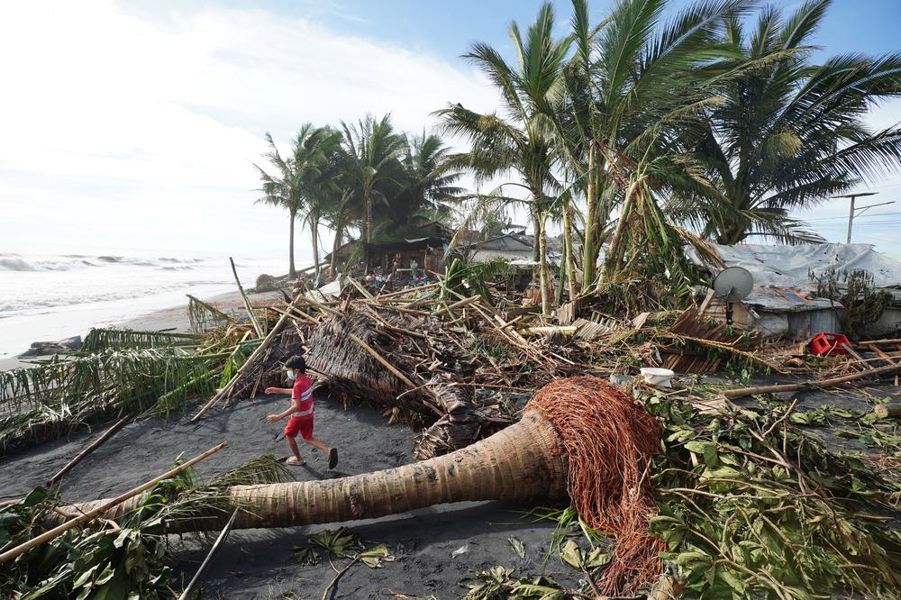 A child plays next to uprooted coconut and banana trees in the coastal town of Dulag in Leyte province on December 17, 2021, a day after Super Typhoon Rai hit.