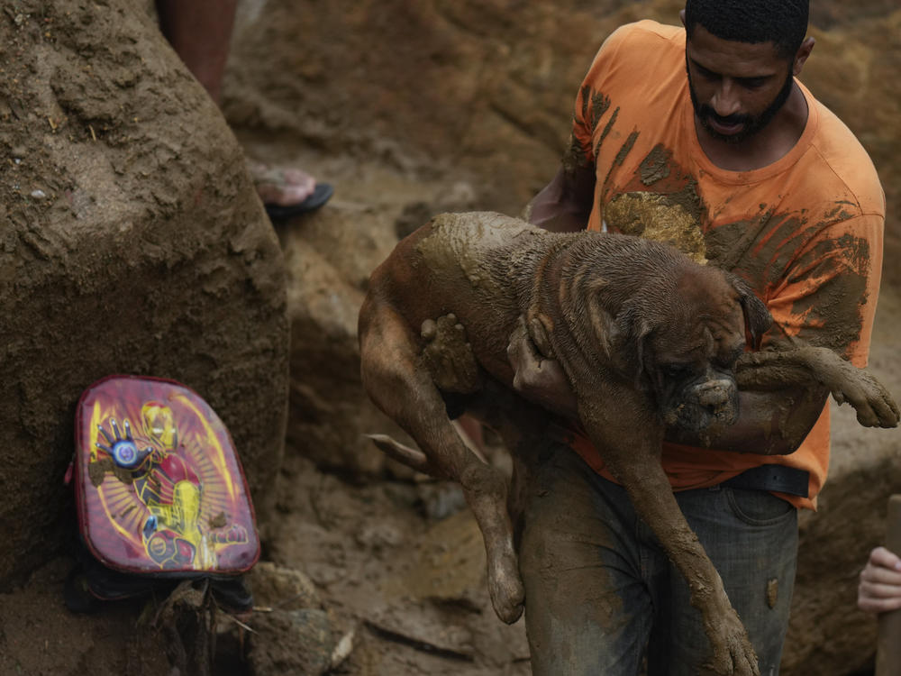 A man rescues a dog from a residential area destroyed by mudslides in Petropolis, Brazil, on Wednesday.